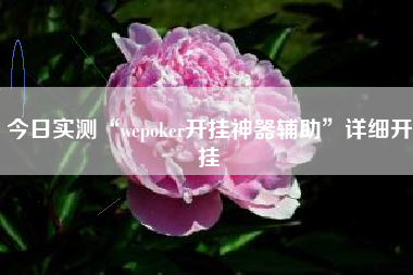 今日实测“wepoker开挂神器辅助	”详细开挂