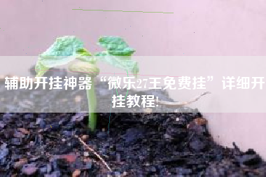 辅助开挂神器“微乐27王免费挂	”详细开挂教程!