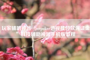 玩家辅助神器“wepoker透视挂付款保证金”科技辅助神器手机版教程