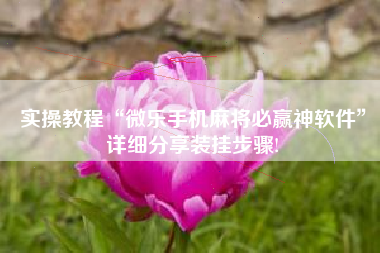 实操教程“微乐手机麻将必赢神软件”详细分享装挂步骤!