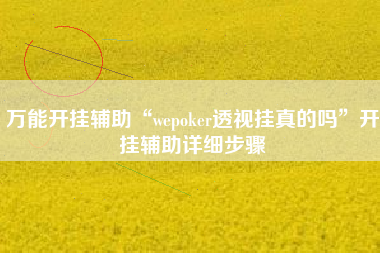 万能开挂辅助“wepoker透视挂真的吗”开挂辅助详细步骤