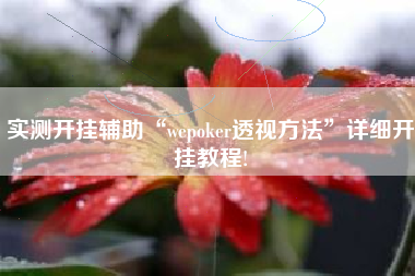 实测开挂辅助“wepoker透视方法	”详细开挂教程!