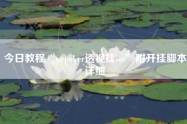 今日教程“wepoker透视挂ios	”附开挂脚本详细