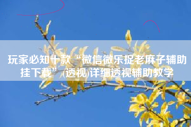 玩家必知十款“微信微乐捉老麻子辅助挂下载”(透视)详细透视辅助教学