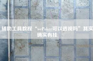 辅助工具教程“wePoker可以透视吗”其实确实有挂