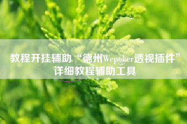 教程开挂辅助“德州Wepoker透视插件”详细教程辅助工具