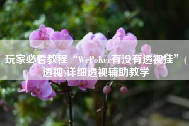 玩家必看教程“WePoKer有没有透视挂”(透视)详细透视辅助教学