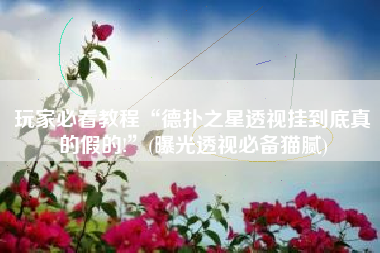 玩家必看教程“德扑之星透视挂到底真的假的!	”(曝光透视必备猫腻)