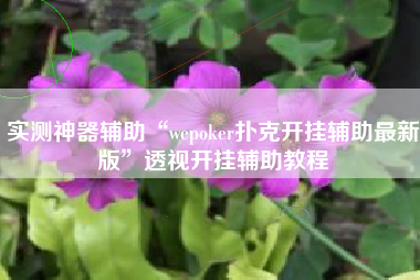 实测神器辅助“wepoker扑克开挂辅助最新版”透视开挂辅助教程