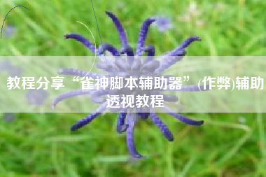 教程分享“雀神脚本辅助器	”(作弊)辅助透视教程