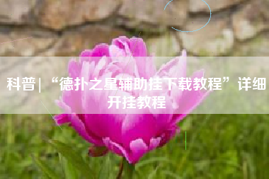 科普|“德扑之星辅助挂下载教程”详细开挂教程