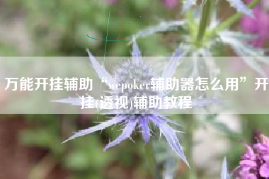 万能开挂辅助“wepoker辅助器怎么用”开挂(透视)辅助教程