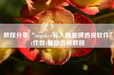 教程分享“wepoker私人局底牌透视软件	”(作弊)辅助透视教程