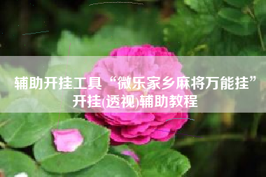 辅助开挂工具“微乐家乡麻将万能挂	”开挂(透视)辅助教程