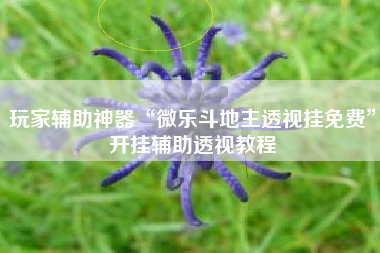 玩家辅助神器“微乐斗地主透视挂免费”开挂辅助透视教程