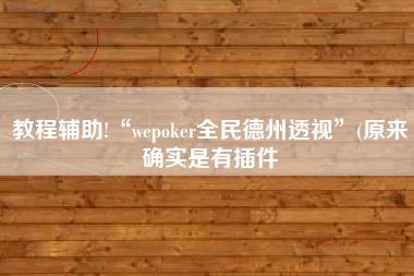 教程辅助!“wepoker全民德州透视”(原来确实是有插件