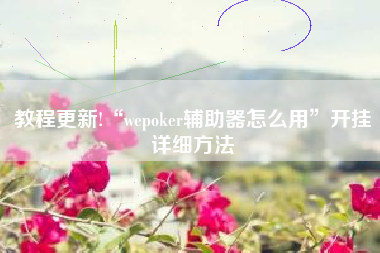 教程更新!“wepoker辅助器怎么用”开挂详细方法