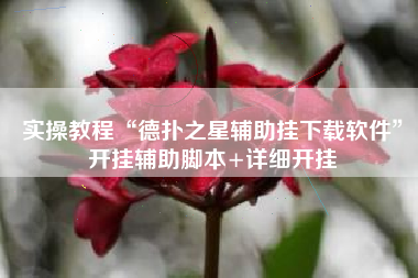 实操教程“德扑之星辅助挂下载软件	”开挂辅助脚本+详细开挂