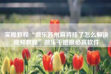 实操教程“微乐苏州麻将挂了怎么解决视频教程”微乐干瞪眼必赢软件