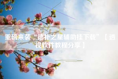 重磅来袭“德扑之星辅助挂下载	”【透视软件教程分享】