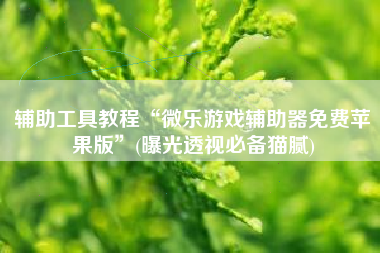 辅助工具教程“微乐游戏辅助器免费苹果版”(曝光透视必备猫腻)