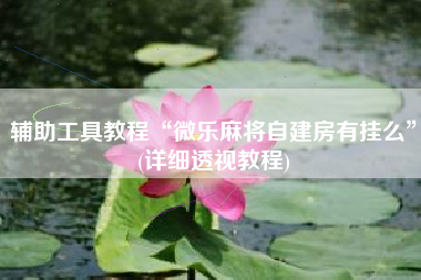 辅助工具教程“微乐麻将自建房有挂么”(详细透视教程)