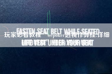 玩家必看教程“wepoker透视作弊挂!详细辅助教程”开挂(透视)辅助