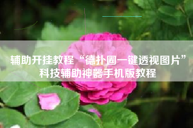 辅助开挂教程“德扑圈一键透视图片”科技辅助神器手机版教程