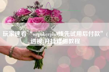 玩家速看“wepokerplus挂先试用后付款”(透视)开挂详细教程