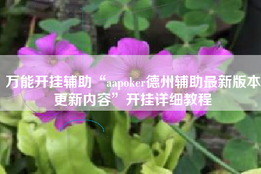 万能开挂辅助“aapoker德州辅助最新版本更新内容	”开挂详细教程