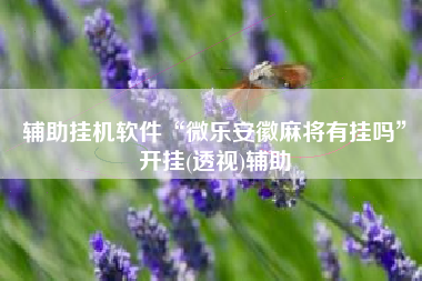 辅助挂机软件“微乐安徽麻将有挂吗”开挂(透视)辅助