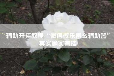 辅助开挂教程“微信微乐刨幺辅助器	”其实确实有挂