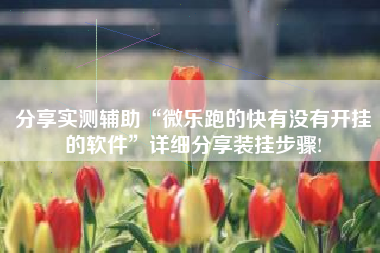 分享实测辅助“微乐跑的快有没有开挂的软件”详细分享装挂步骤!