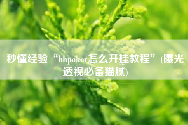秒懂经验“hhpoker怎么开挂教程”(曝光透视必备猫腻)