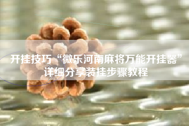 开挂技巧“微乐河南麻将万能开挂器”详细分享装挂步骤教程