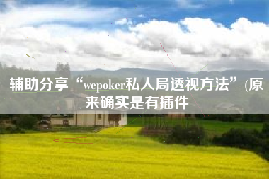 辅助分享“wepoker私人局透视方法”(原来确实是有插件