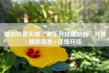 辅助科普实测“微乐开挂辅助器”开挂辅助脚本+详细开挂