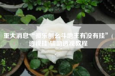 重大消息“微乐刨幺斗地主有没有挂	”(透视挂)辅助透视教程