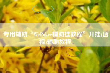 专用辅助“WePoker辅助挂教程”开挂(透视)辅助教程!