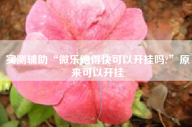 实测辅助“微乐跑得快可以开挂吗?	”原来可以开挂