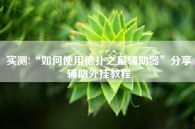 实测!“如何使用德扑之星辅助器	”分享辅助外挂教程