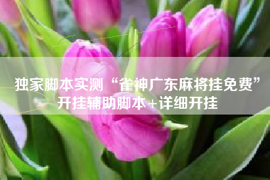 独家脚本实测“雀神广东麻将挂免费”开挂辅助脚本+详细开挂