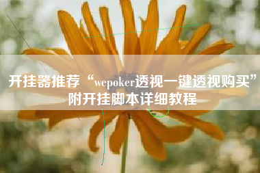 开挂器推荐“wepoker透视一键透视购买	”附开挂脚本详细教程