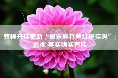 教程开挂辅助“微乐麻将黄灯是挂吗”(透视)其实确实有挂