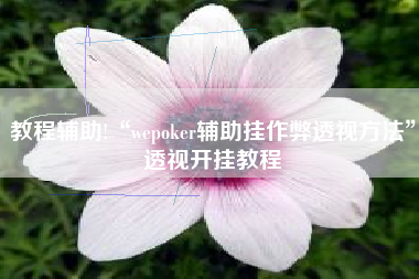 教程辅助!“wepoker辅助挂作弊透视方法	”透视开挂教程