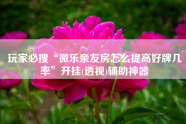 玩家必搜“微乐亲友房怎么提高好牌几率”开挂(透视)辅助神器