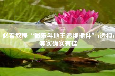 必看教程“微乐斗地主透视插件	”(透视)其实确实有挂