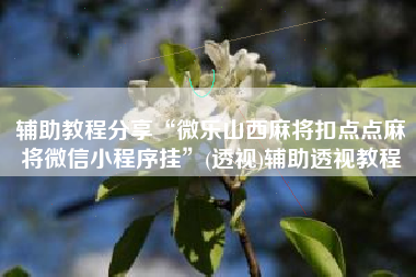 辅助教程分享“微乐山西麻将扣点点麻将微信小程序挂”(透视)辅助透视教程