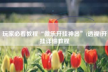 玩家必看教程“微乐开挂神器	”(透视)开挂详细教程