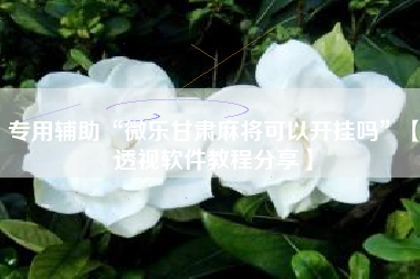 专用辅助“微乐甘肃麻将可以开挂吗	”【透视软件教程分享】